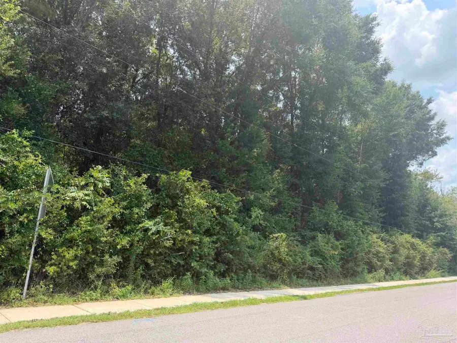 0000 Tilubo Ln, Pace, FL 32571 - #2