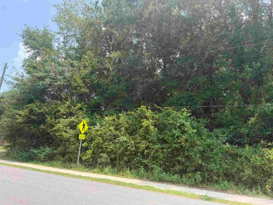 0000 Tilubo Ln, Pace, FL 32571 - #3