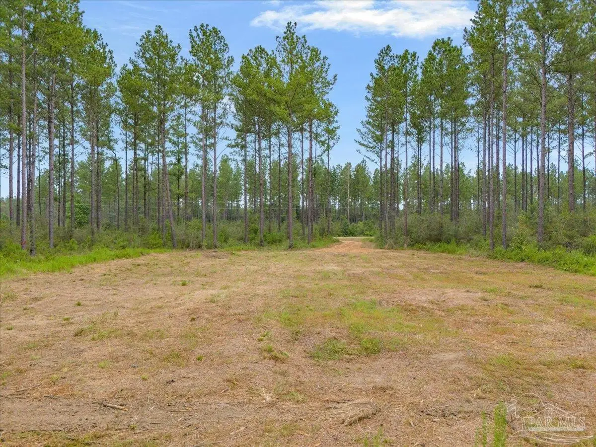 1403 Mineral Springs Rd, Jay, FL 32565 - #1