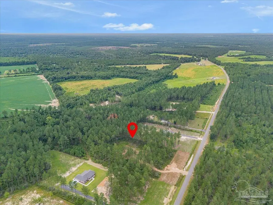 1403 Mineral Springs Rd, Jay, FL 32565 - #3