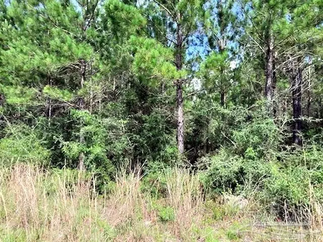 Lot 35 MBN Molino Bridge Rd, Pace, FL 32571 - #3