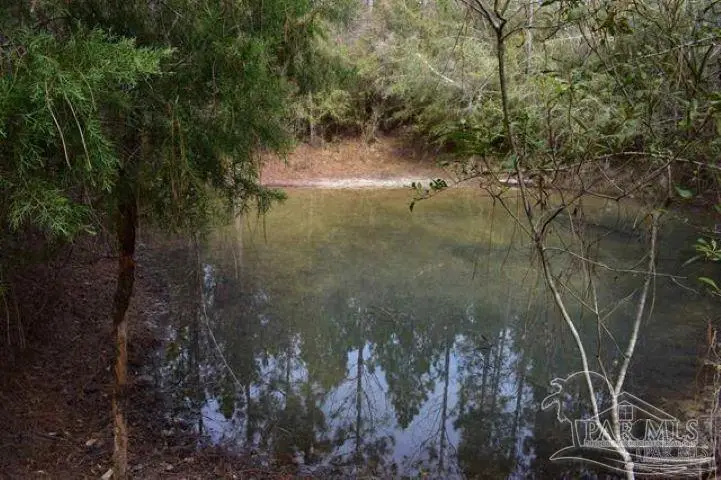 0004 Pat Brown Rd, Milton, FL 32570 - #1