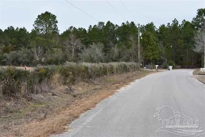 0004 Pat Brown Rd, Milton, FL 32570 - #3