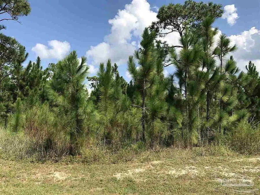4921 Leeward Dr, Pensacola, FL 32507 - #2