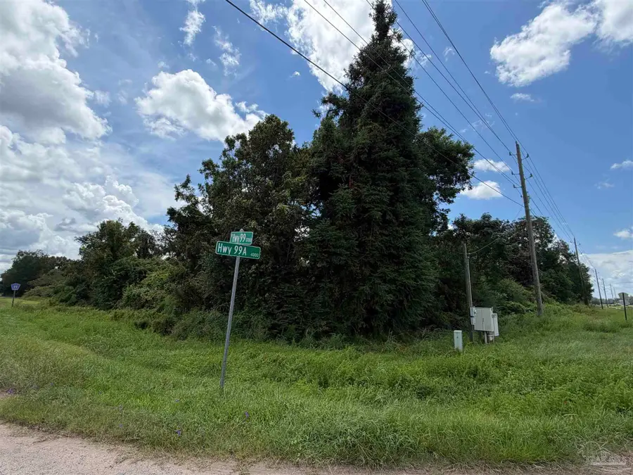 Lot 1 Highway 99a, Walnut Hill, FL 32568 - #2
