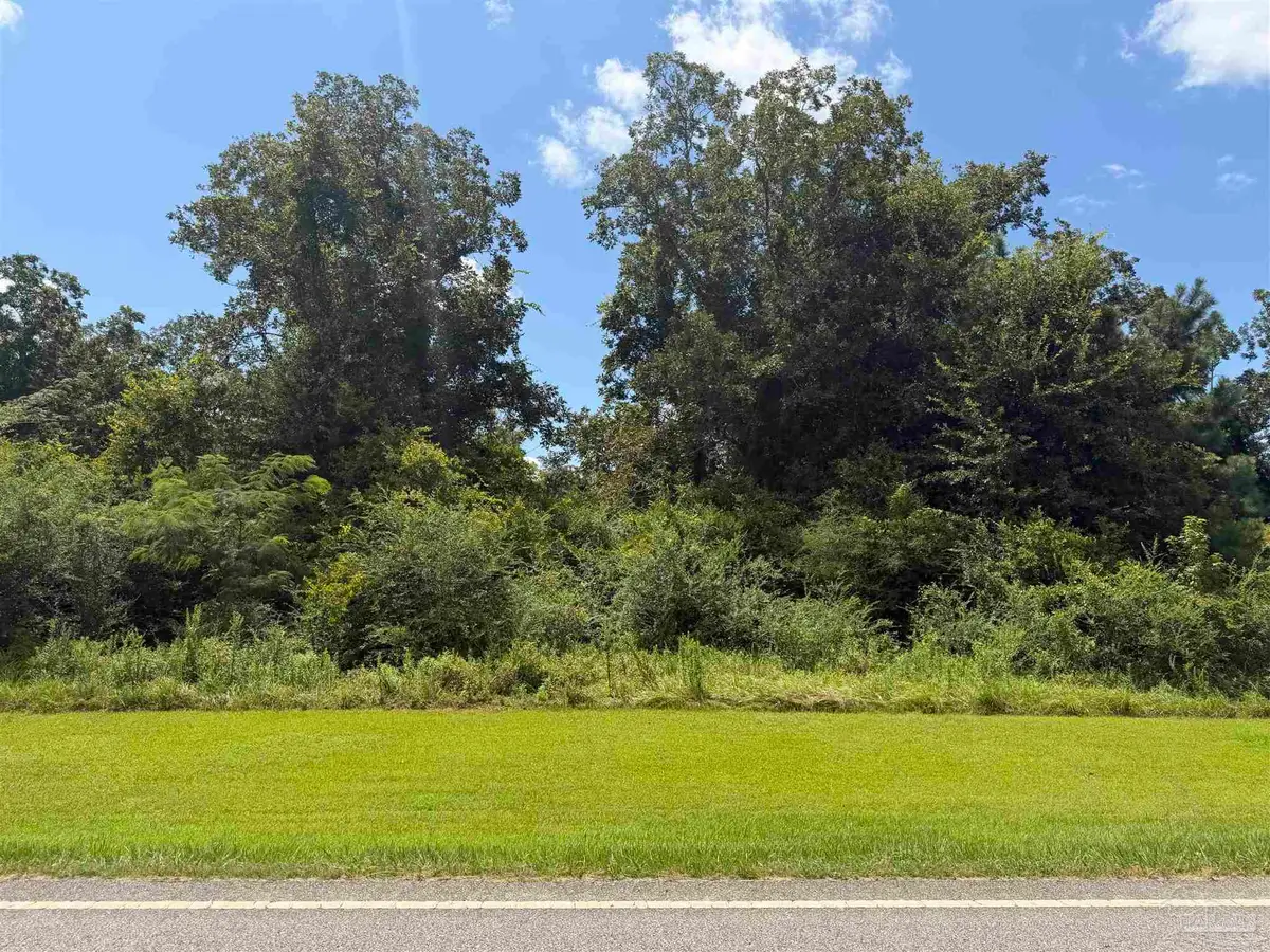 Lot 2 Hwy 99, Walnut Hill, FL 32568 - #1
