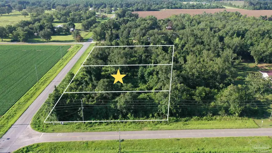 Lot 2 Hwy 99, Walnut Hill, FL 32568 - #2
