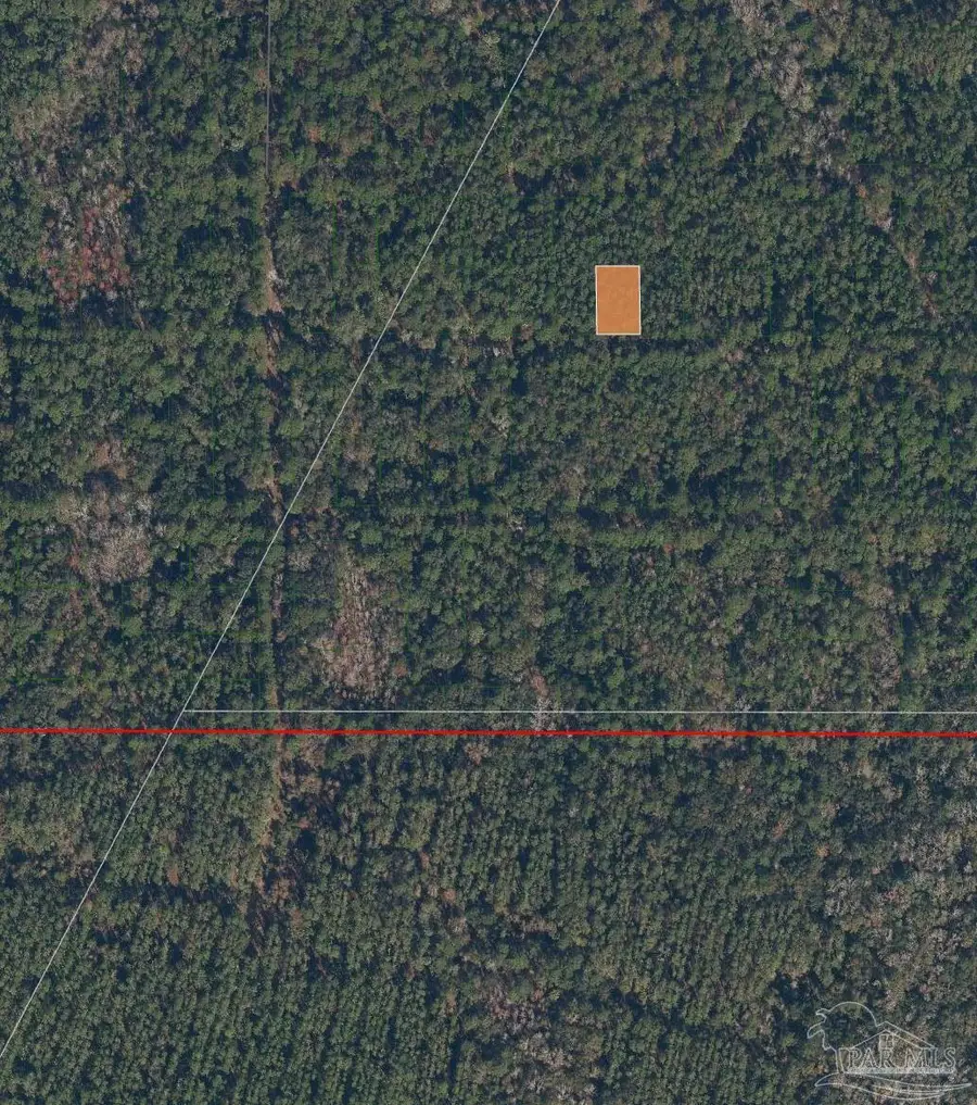 214 Garrison Ave, Georgetown, FL 32139 - #2