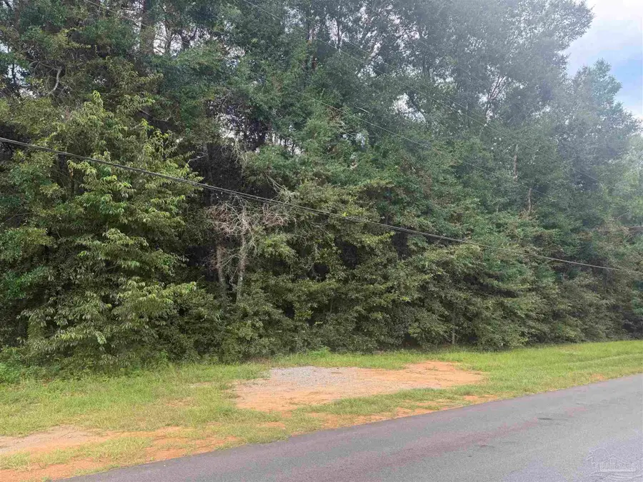 0000 E Spencer Field Rd, Pace, FL 32571 - #3
