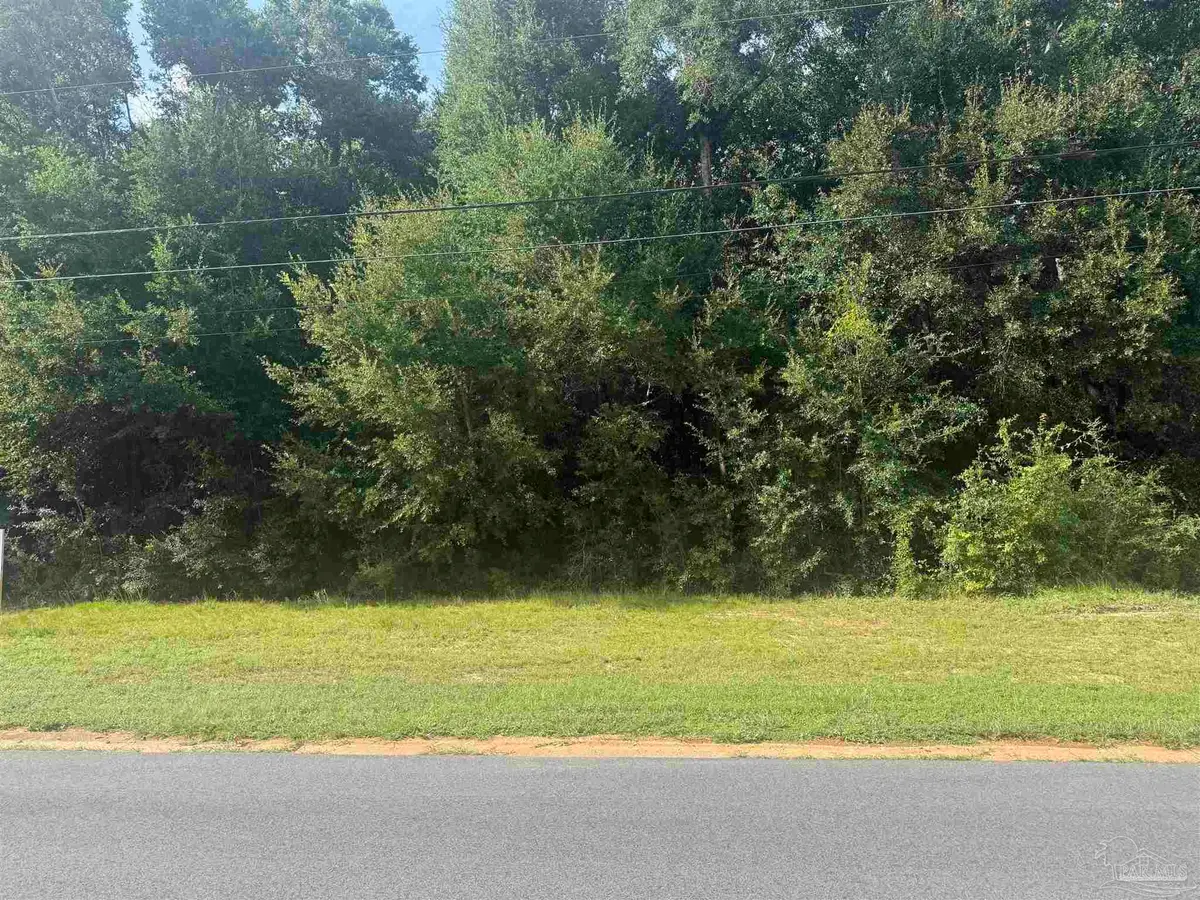 0000 Carlyn Dr, Pace, FL 32571 - #1
