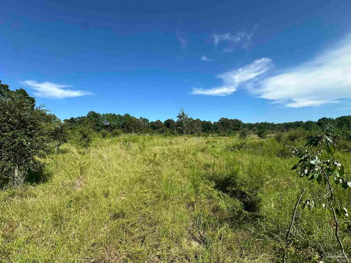 XXX 9+/- AC Munson Hwy, Milton, FL 32570 - #1