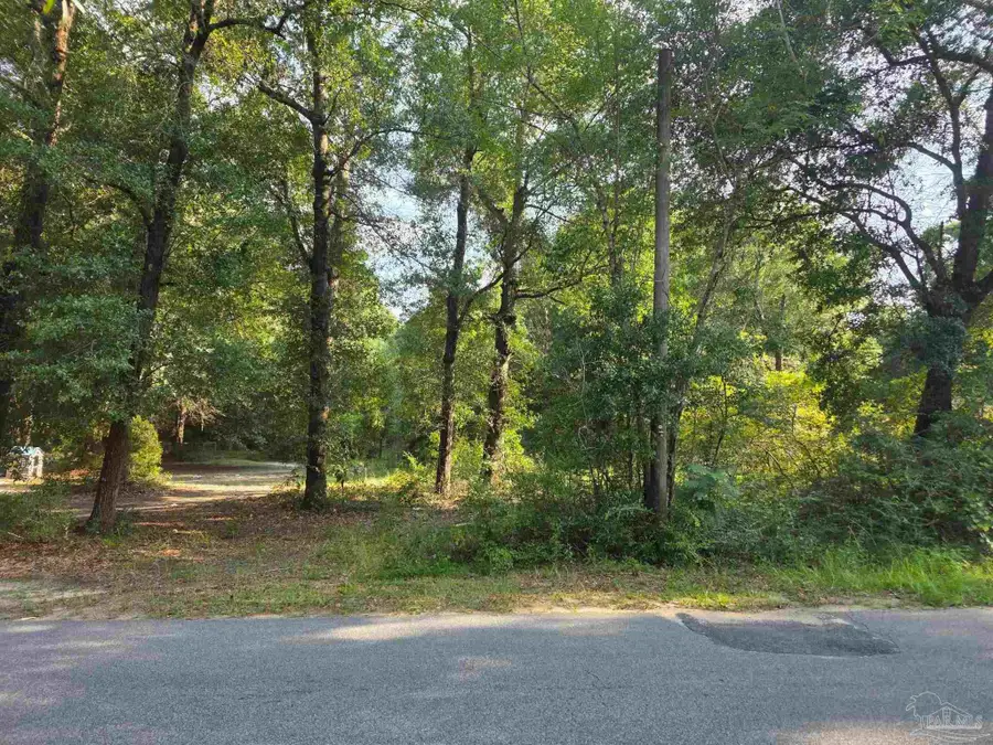 Rice Rd, Milton, FL 32583 - #2