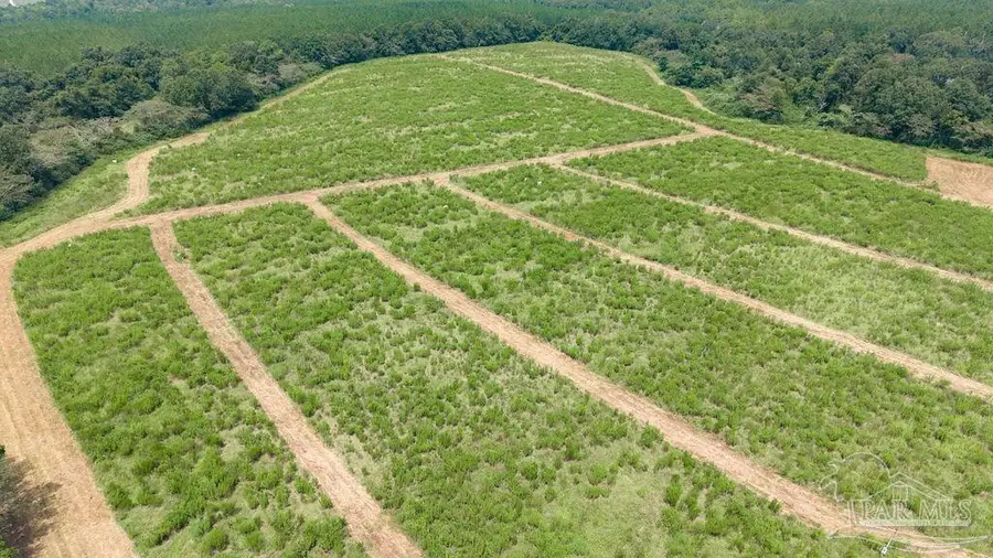 Lot 5 Whistler Ln, Jay, FL 32565 - #2