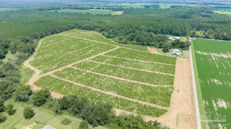 Lot 5 Whistler Ln, Jay, FL 32565 - #3