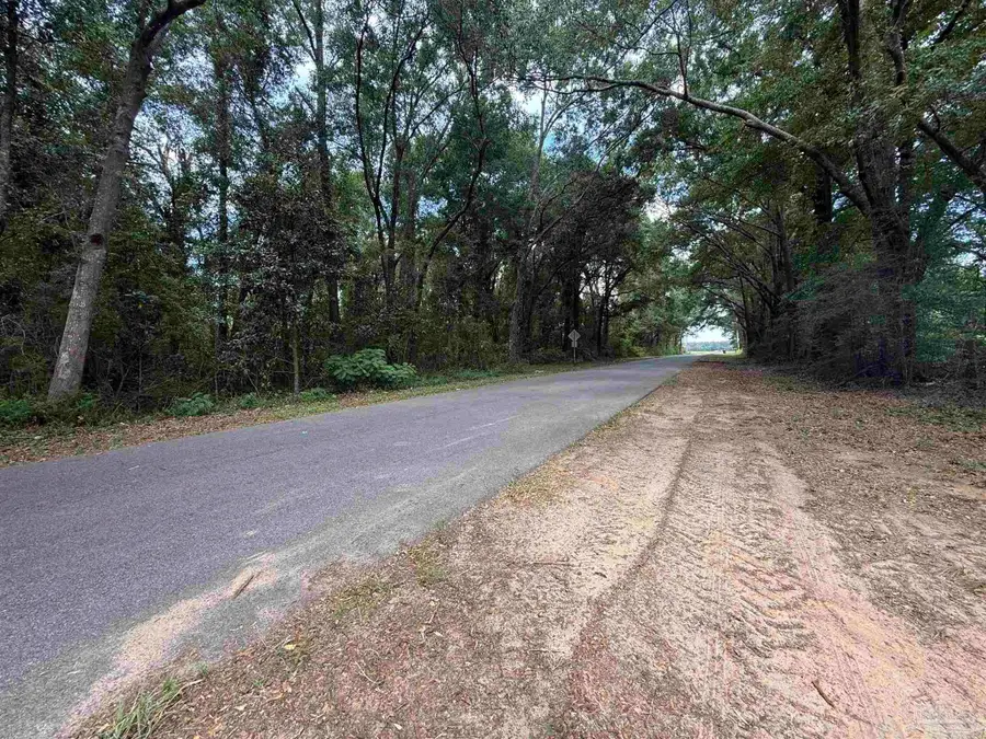 Lot 4 Watermill Rd, Jay, FL 32565 - #3