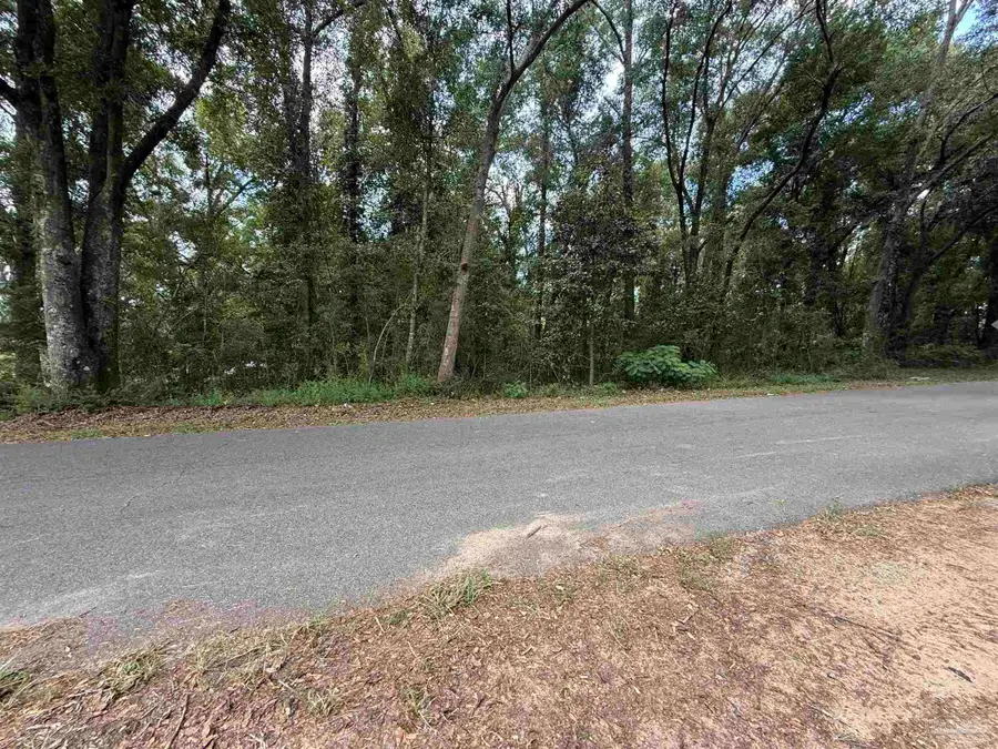 LOT 1 Watermill Rd, Jay, FL 32565 - #3