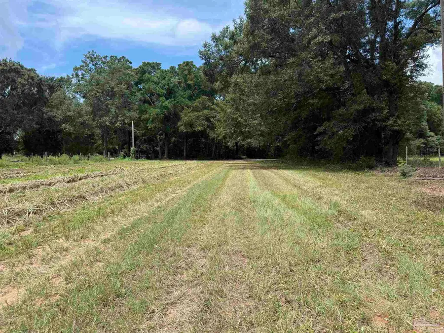 LOT 2 Watermill Rd, Jay, FL 32565 - #2