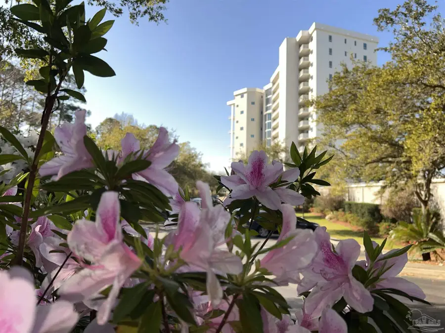 28250 Canal Rd #504, Orange Beach, AL 36561 - #2