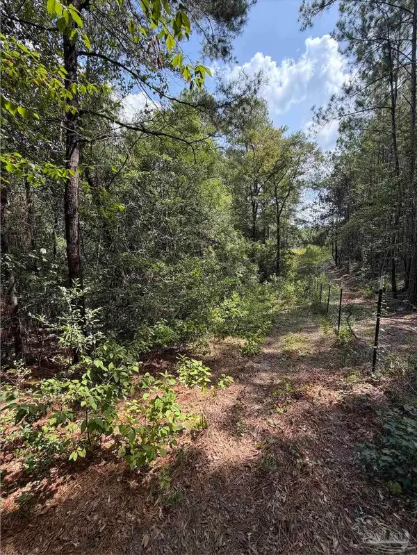 7.7 acres Werlin St, Brewton, AL 36426