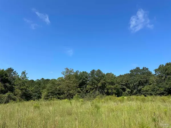 4949 Dobson Rd, Jay, FL 32565