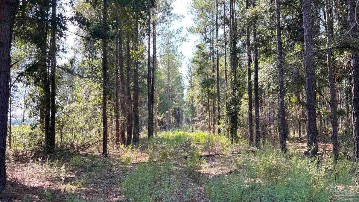 LOT 74 Posie Forest Rd, Milton, FL 32570 - #1