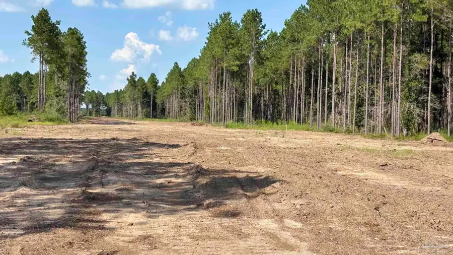 LOT 74 Posie Forest Rd, Milton, FL 32570 - #3