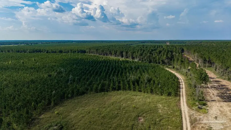 LOT 64 Posie Forest Rd, Milton, FL 32570 - #2