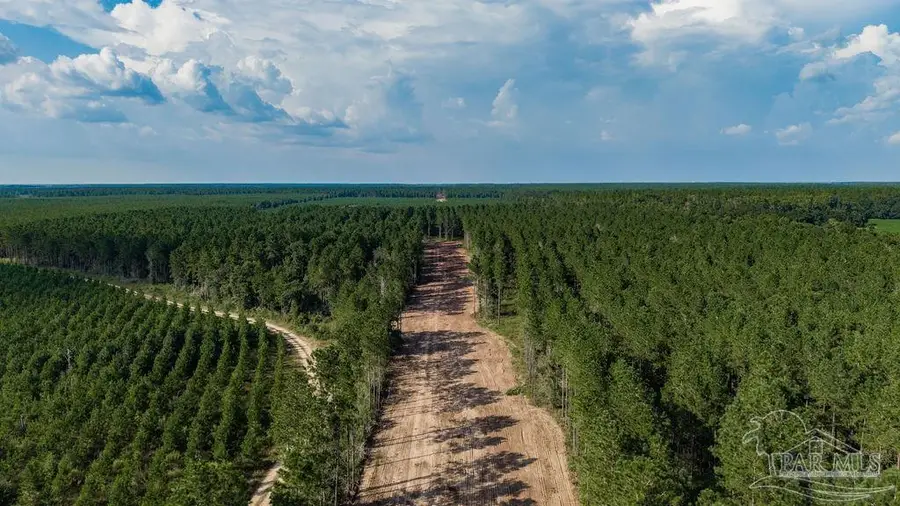 LOT 64 Posie Forest Rd, Milton, FL 32570 - #3