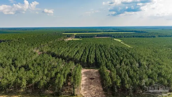 LOT 91 Posie Forest Rd, Milton, FL 32570