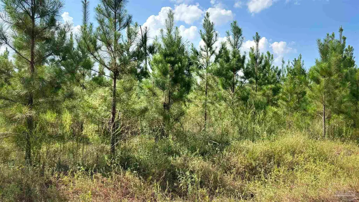 Lot 88 Posie Forest Rd, Milton, FL 32583 - #1