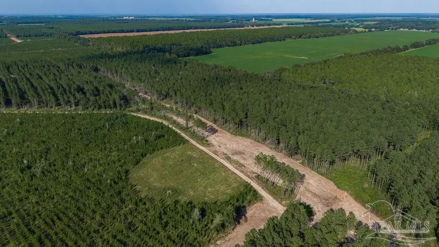Lot 88 Posie Forest Rd, Milton, FL 32583 - #2