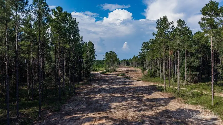 Lot 88 Posie Forest Rd, Milton, FL 32583 - #3
