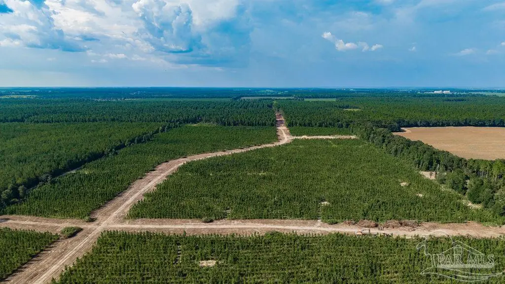 LOT 87 Posie Forest Rd, Milton, FL 32570 - #1