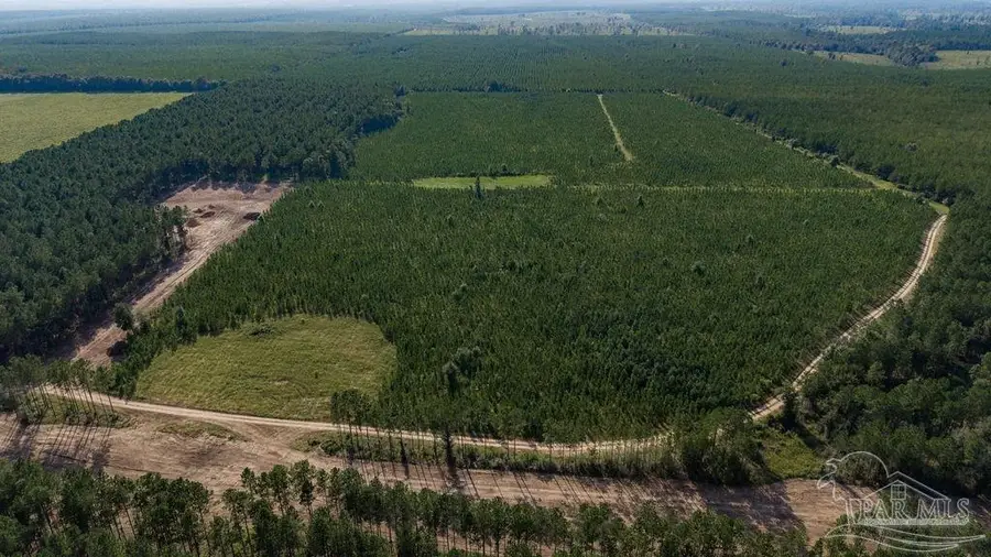 LOT 92 Posie Forest Rd, Milton, FL 32570 - #3