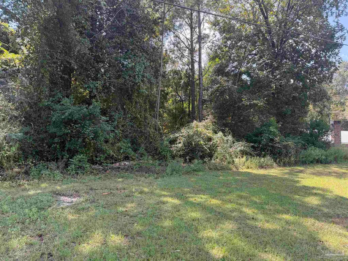 20500 Block Hwy 31, Flomaton, AL 36441 - #1