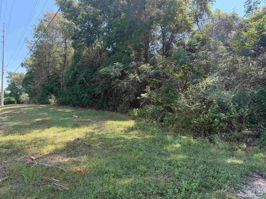 20500 Block Hwy 31, Flomaton, AL 36441 - #2