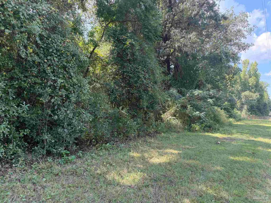 20500 Block Hwy 31, Flomaton, AL 36441 - #3