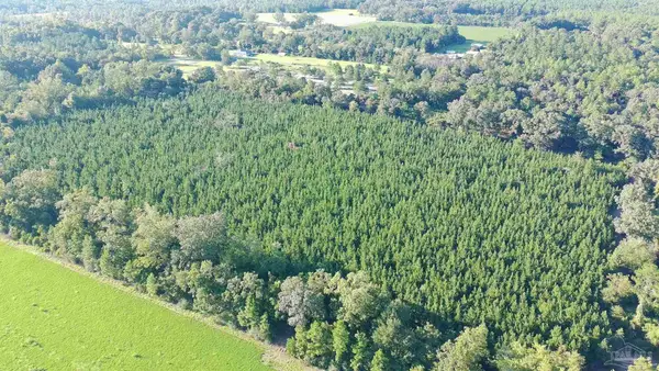 20 Acres Lewis Rd, Milton, FL 32570