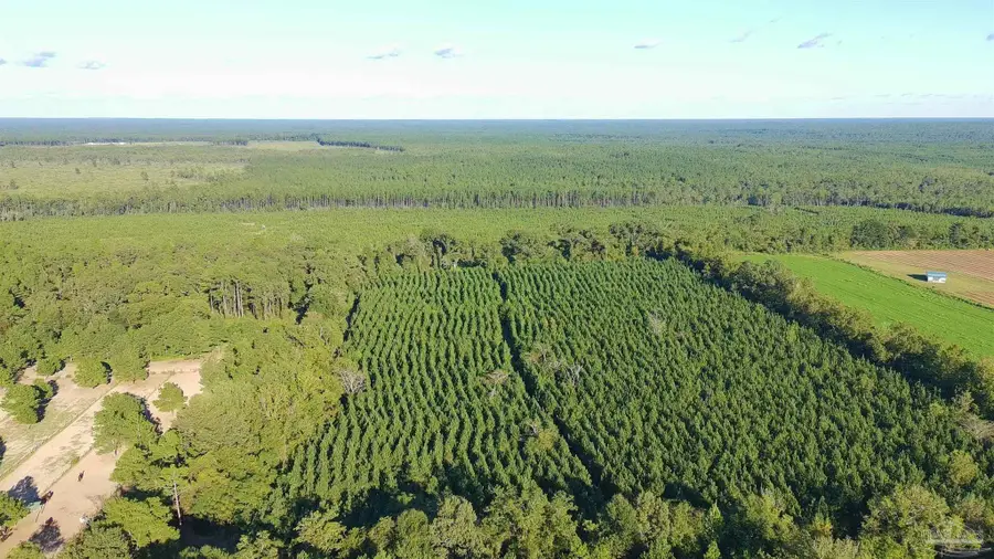 20 Acres Lewis Rd, Milton, FL 32570 - #2
