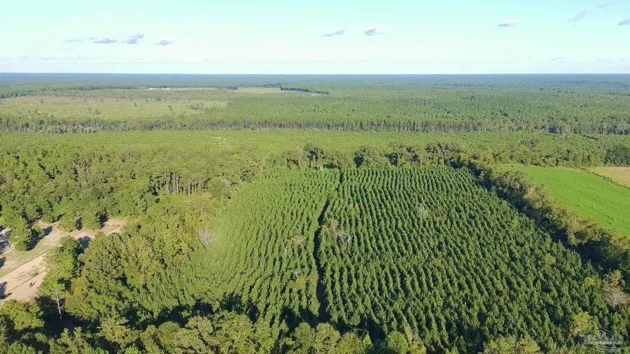 20 Acres Lewis Rd, Milton, FL 32570 - #3