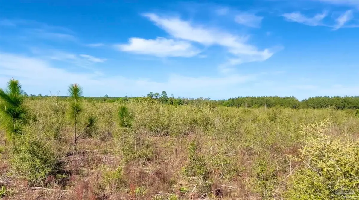 Lot 55 South Timber Ln, Jay, FL 32565 - #1