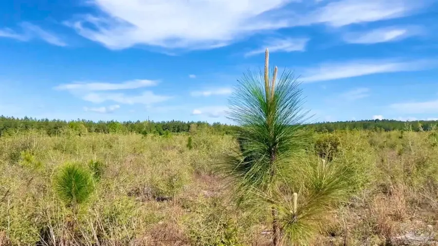 Lot 55 South Timber Ln, Jay, FL 32565 - #2