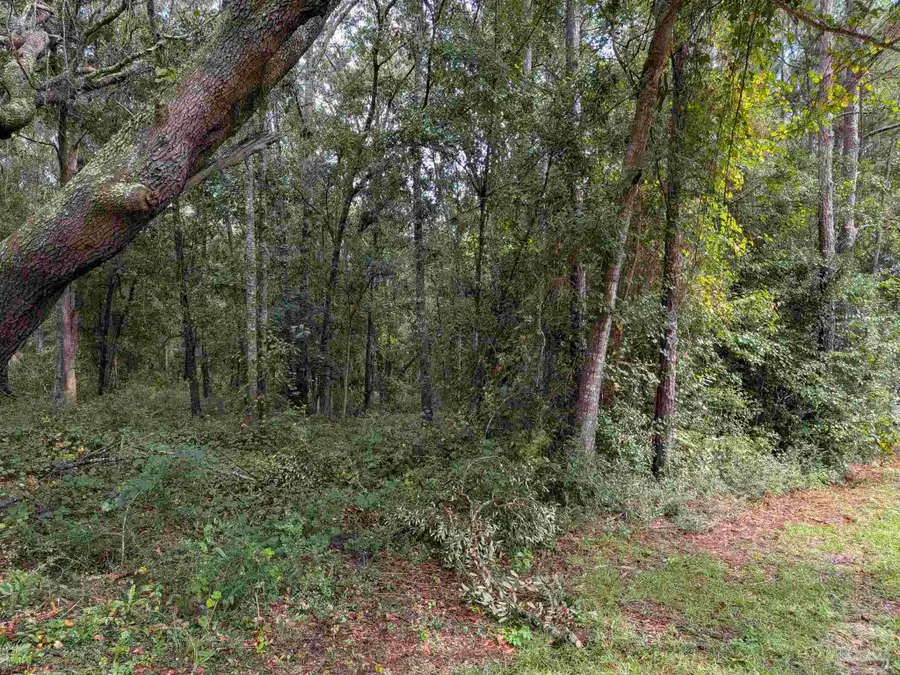 1400 BLK Oak Bend Trl, Cantonment, FL 32533 - #3
