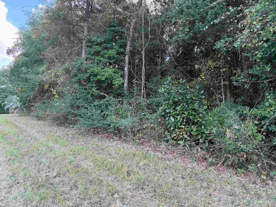 20500-A Block Us Hwy 31, Flomaton, AL 36441 - #2