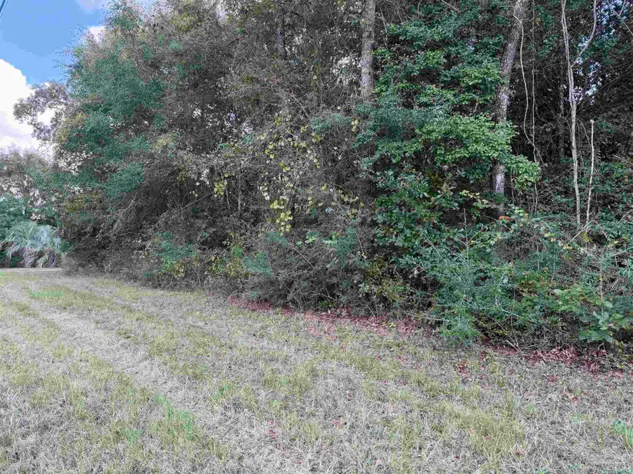20500-A Block Us Hwy 31, Flomaton, AL 36441 - #3