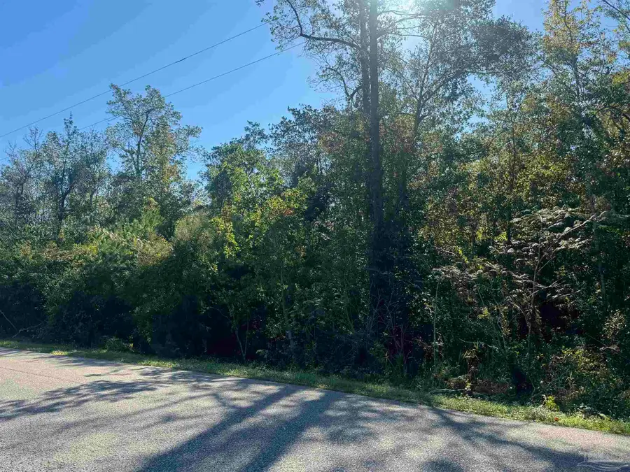 001 Van Hoosen Rd, Flomaton, AL 36441 - #2