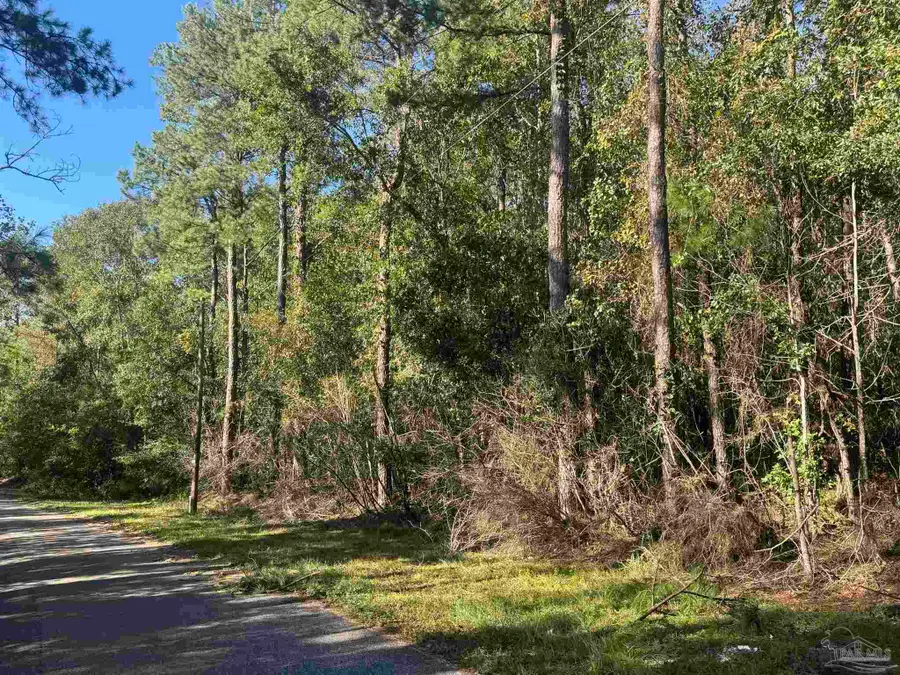 001 Van Hoosen Rd, Flomaton, AL 36441 - #3