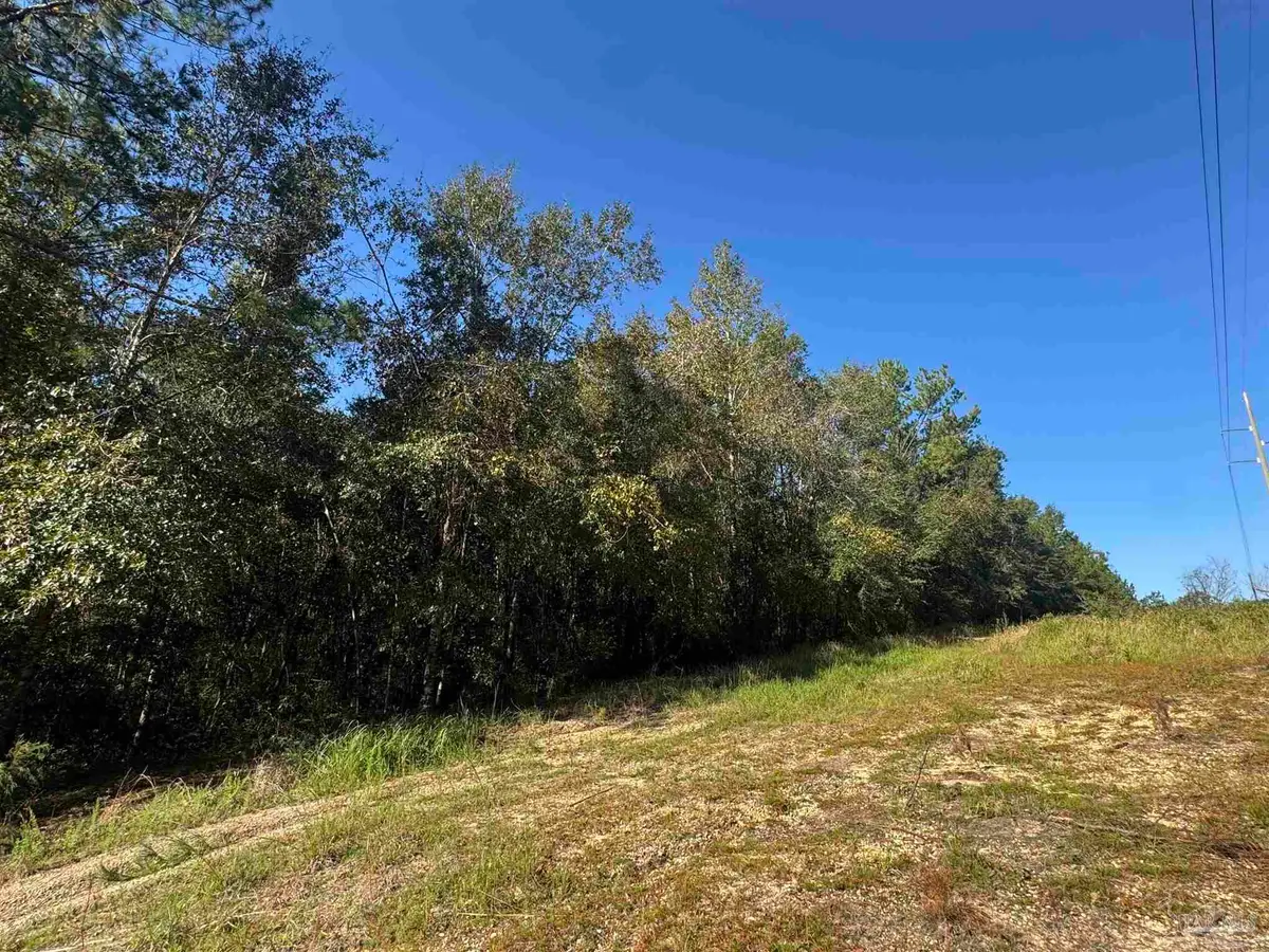 002 Van Hoosen Rd, Flomaton, AL 36441 - #1