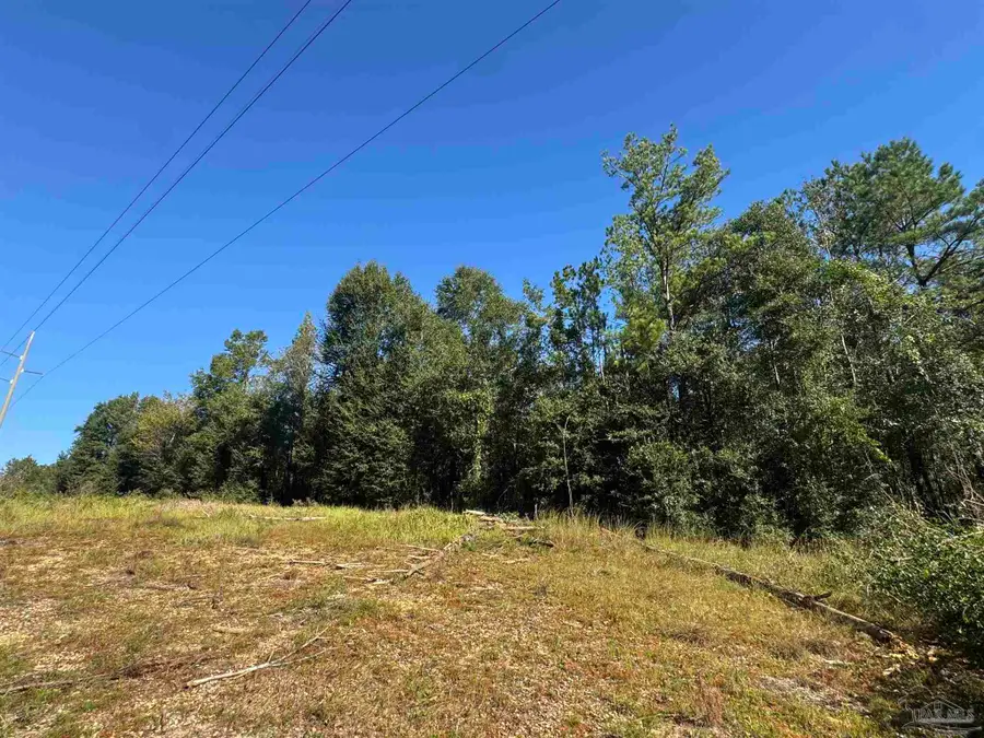 002 Van Hoosen Rd, Flomaton, AL 36441 - #2