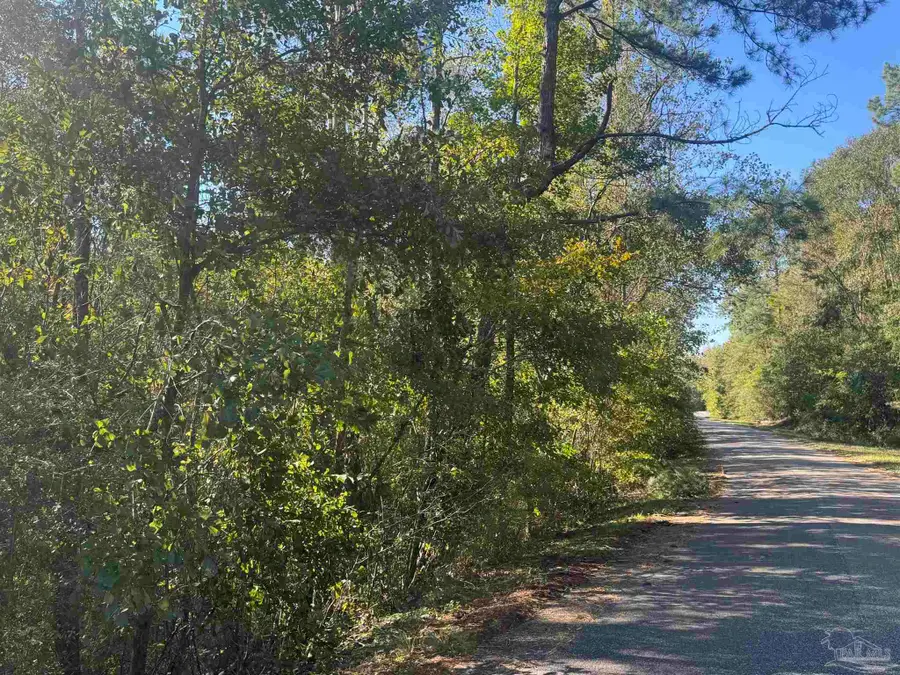 002 Van Hoosen Rd, Flomaton, AL 36441 - #3